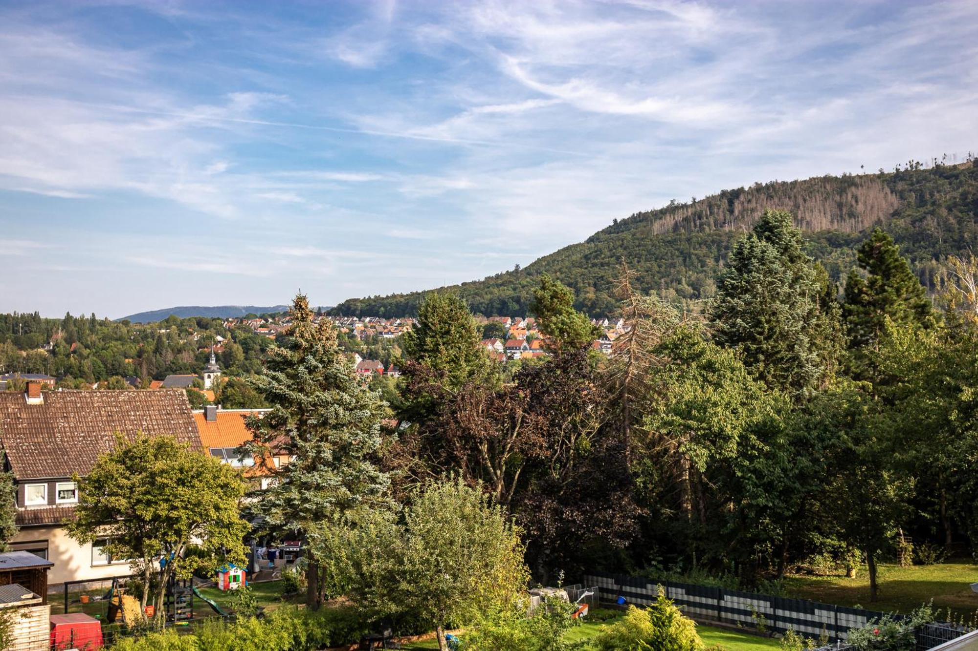 Ferienwohnung Am Bollrich Goslar Exteriér fotografie